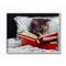 Stupell Industries Cat Reading a Book in Bed Wall Art in Gray Frame